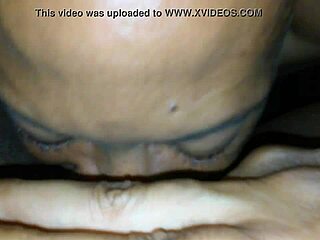 Ebony BBW begged for her fat pussy to be eaten by big black cock.