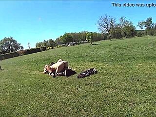 Suzi gets slammed hard by her young master in wild action