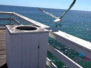 Banging Pornstar Summer Vixen In POV With Pussy Eating. Blowjob And Hard Fucking Follow!