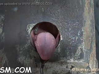 Clamped sweetheart takes anal hook with toy, oh wow! 😲