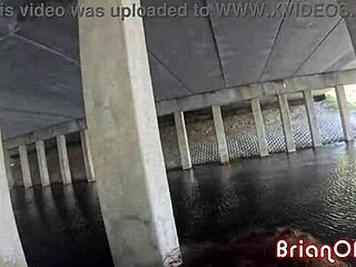 Princesa ebony Willow Ryder hace rebotar su culazo en mi verga grande montando moto acuática