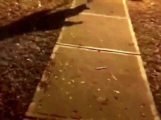 i met innocent big-ass girl in park she agreed fuck for money motel 😏