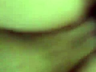 Crazy wild things happening on the couch