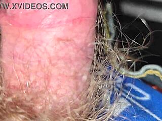 Virtualrealporn Com - Take Control