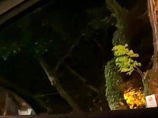 Stranger offered a car blowjob for cash, I agreed and swallowed it all