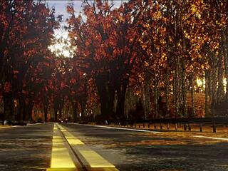 The Inn 57's Emotional Journey