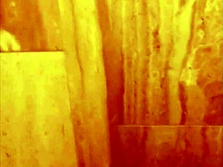 nasty couple caught banging in public toilet quickie