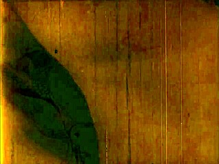 vintage erotic drawings come to life