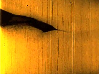 vintage erotic drawings spark old-school desire tonight