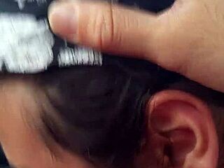 a curious encounter unfolds with an unexpected companion