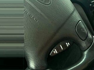 a curious encounter unfolds with an unexpected companion