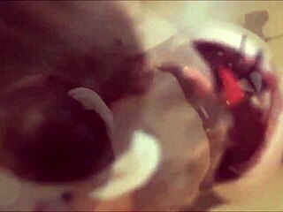 french amateur in satin lingerie has clothed sex with deepthroat blowjob