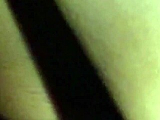 Tägliche Compilation hübscher Fotzen mit New Orleans Style Musik