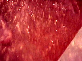 Shay and Julia Lick Lesbian Pussy and Play with Big Tits in Bed