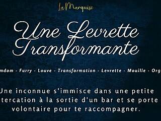 Feel Transformation In French Furry