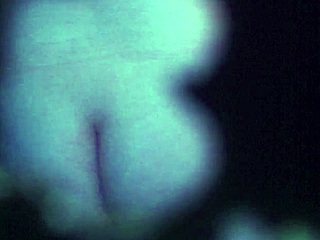 Watch the tattooed babe rip her clothes and strip in the shower?