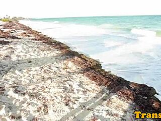 Bikini Latina Tranny Gets Facial After Assfucking