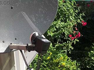 the sexy neighbor next door