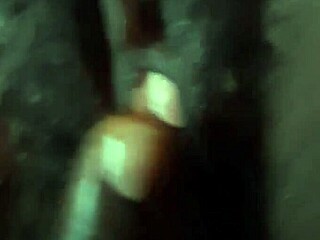 Pareja recién casada monta y cucharea con juguetes en luna de miel. Sus momentos íntimos peludos se despliegan con pasión