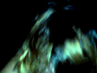 White Woman Sucking Big Black Cock In Interracial Blowjob Scene