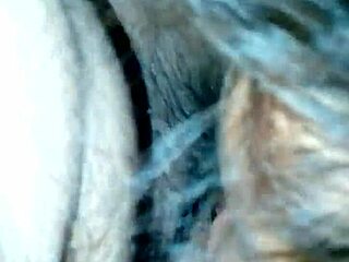 My Ex Latina Prostitute Sucks Me Off in Raw Street Encounter