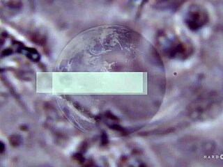 lucy huxley in orgy, so hottt