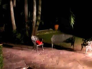 Local Chick Gets 2 Fingers In Her Ass And A Big Black Cock Down Her Throat