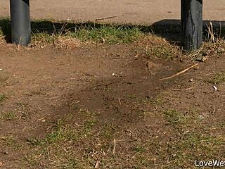 chrissy fox pissing solo in public scene