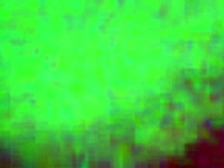 This Mexican puta from Puebla gets her ass fucked hard! 😏