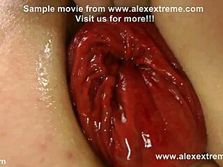 Sindy Rose's Extreme Anal Play With Huge Dildo