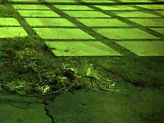 Outdoor Fuck First Time Unless Youre From The Sixties And Dig That