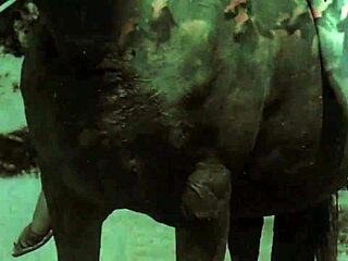 Dark Lantern Eğlence Retro Kıllı Amı Ortaya Çıkarıyor