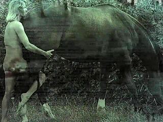 Dark Lantern Eğlence Retro Kıllı Amı Ortaya Çıkarıyor