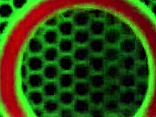 Vicky Vette își desface picioarele să-și tachineze șeful cu pizda.