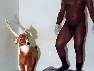 Got new ways to flaunt my zodiac patience?