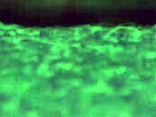 Naughty Babe Bangs Step Grandpa Cowgirl in Bed!