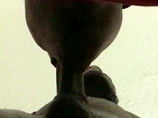 Gej tip konča na rit med sesanjem