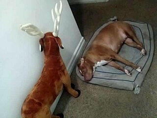 Got new ways to flaunt my zodiac patience?