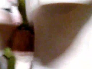 redhead amateur sucks on a massive cock eagerly