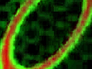 Want Sara Jay's Date Night Cumshot in Vegas?