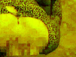 I Was Single And Ashamed, But Opened Legs And Let Him Put All In