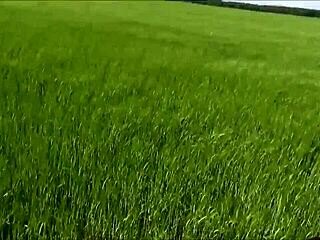 Teen girl says, 'let's have a threesome in the cornfield with facials.'