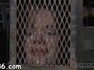 beautiful babes sweet nipples receives painful t