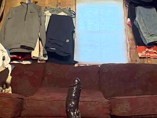 i, lvory white, do anal training with toys for fun.