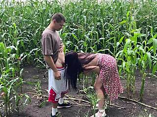 דפקתי את האחות החורגת החרמנית בשדה תירס גשום עם גמירה על התחת