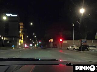 Amandha Fox had crazy night in Rome masturbating with toys in car