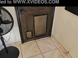 Don't Tell Your Father: Misty Meaner in POV