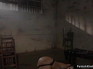 Busty pawg babe anal banged in bondage