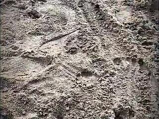 Krásná Latina v punčochách dává kouř na pláži