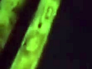 Who wants to try my private workout routine!